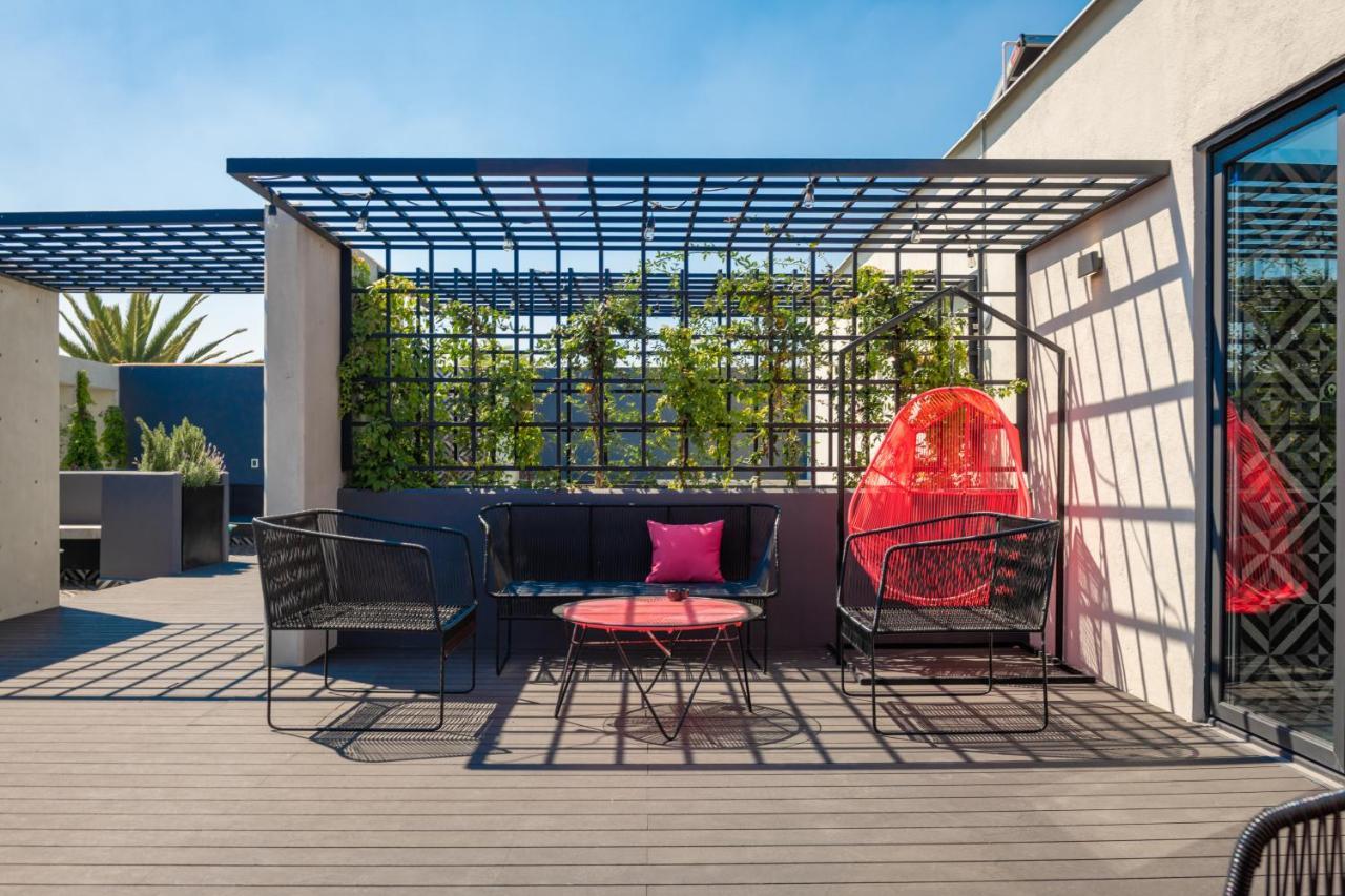 Apartament Niu Modern & Centric Lofts Meksyk Zewnętrze zdjęcie