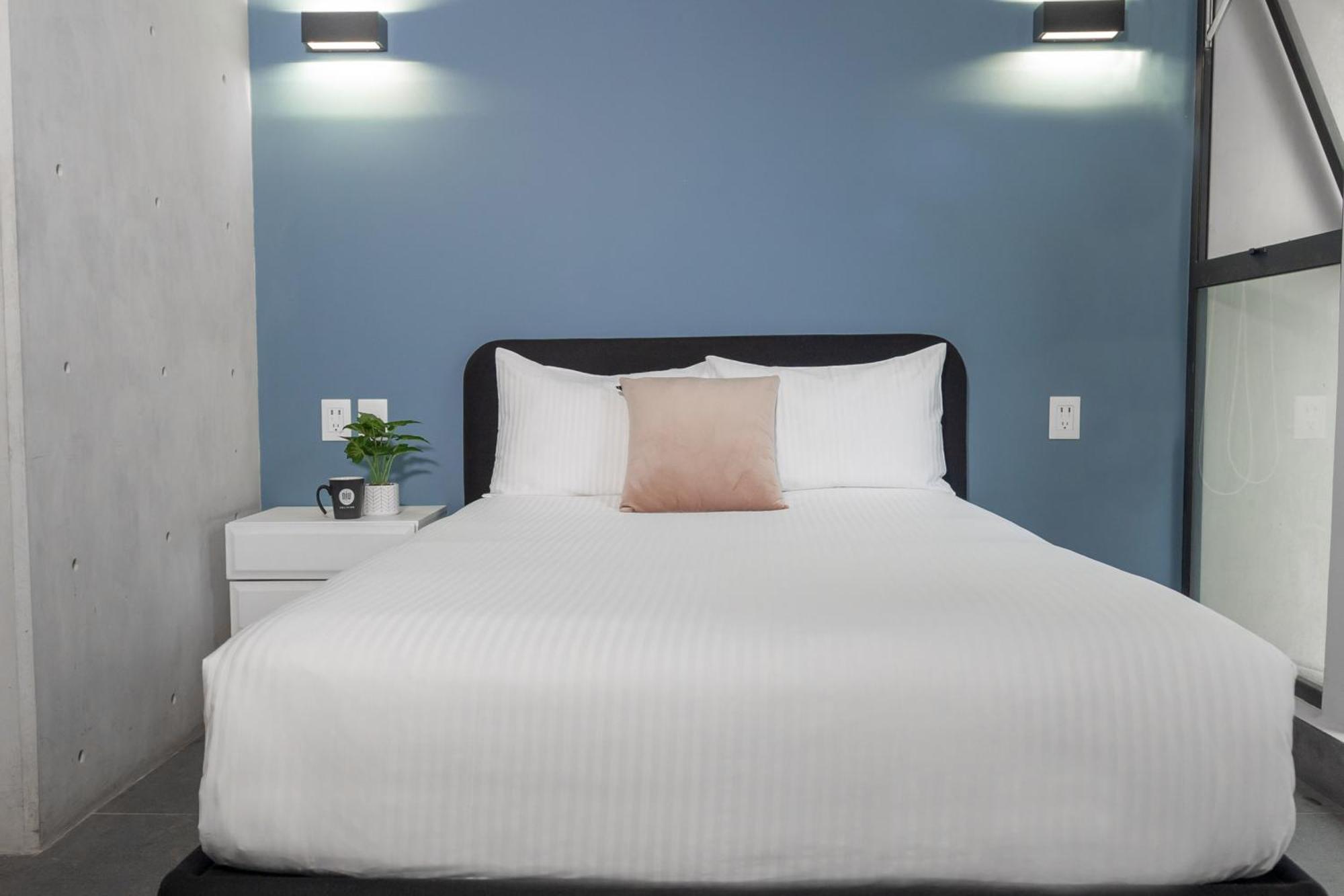 Apartament Niu Modern & Centric Lofts Meksyk Zewnętrze zdjęcie